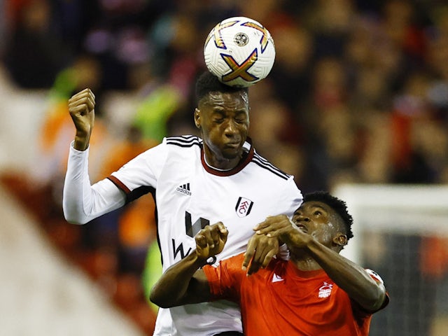 Fulham defender Tosin Adarabioyo in action in September.