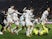 Shakhtar vs. Feyenoord - prediction, team news, lineups