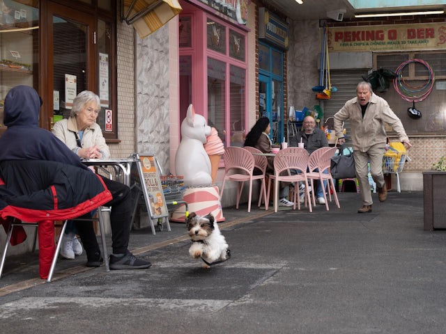 Roy chasing the dog on Coronation Street on May 26, 2023