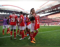 Benfica claim Primeira Liga title ahead of Porto on final day