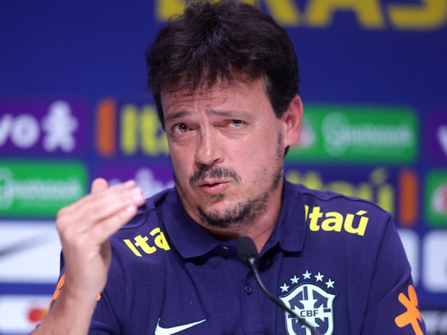 Brazil coach Fernando Diniz during press conference on July 5, 2023