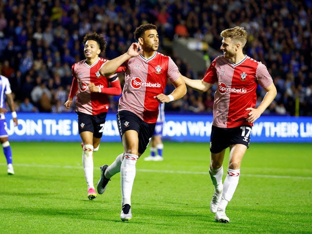 Adams nets late winner as Southampton overcome Sheffield Wednesday