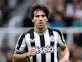 <span class="p2_new s hp">NEW</span> Newcastle's Sandro Tonali charged with fresh betting breaches after move to England