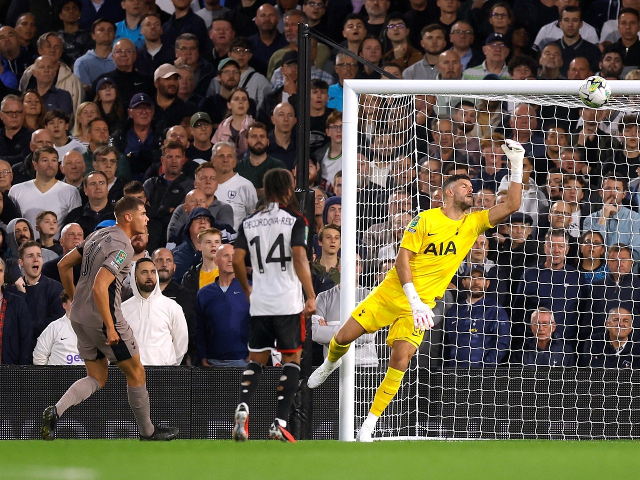 Tottenham Hotspur knocked out of EFL Cup by Fulham on penalties - Sports  Mole