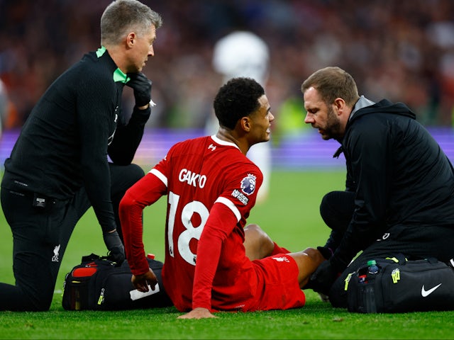 Liverpool's Cody Gakpo receives medical attention after sustaining an injury on September 30, 2023