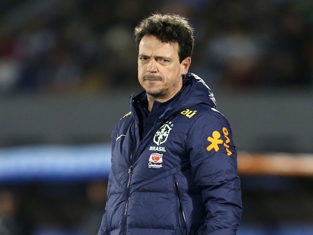 Brazil coach Fernando Diniz on October 17, 2023