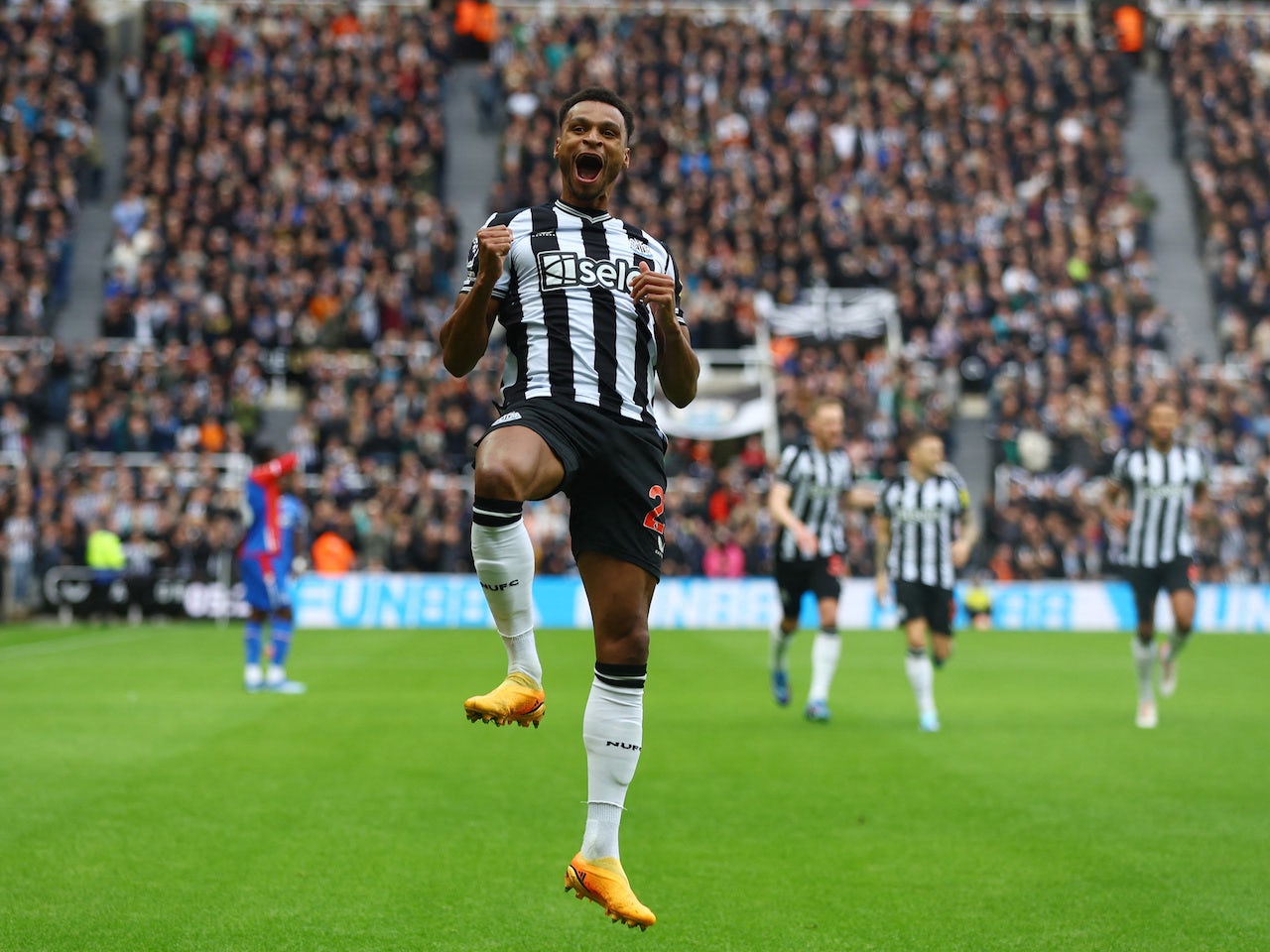 Jacob Murphy stars in thumping Newcastle United win over Crystal Palace