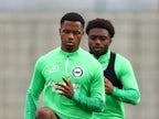 Brighton's Ansu Fati, Tariq Lamptey 'ruled out for three months with muscle injuries'