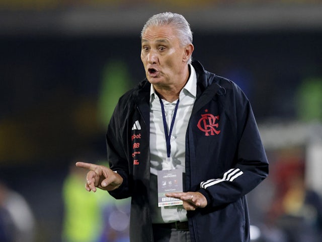 Flamengo manager Tite looks on at the 2024 Copa Libertadores