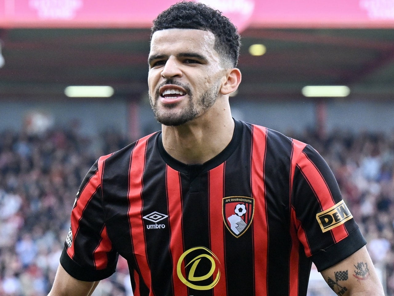 Tottenham 'receive boost' in pursuit of Bournemouth's Dominic Solanke