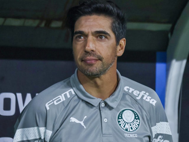 Palmeiras head coach Abel Ferreira in August 2024.