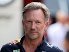 <span class="p2_new s hp">NEW</span> Horner supports FIA move to oust F1 steward Herbert