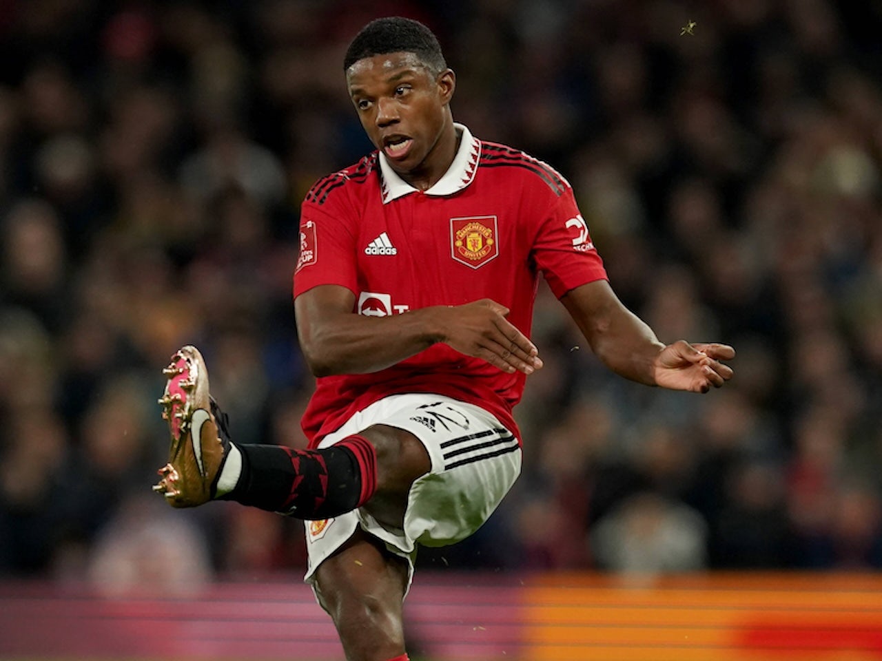 Major Man United injury update: What's the latest on Tyrell Malacia?