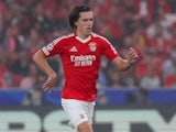 Benfica defender Alvaro Fernandez on October 2, 2024