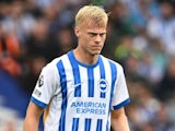 Brighton & Hove Albion's Jan Paul van Hecke on September 22, 2024