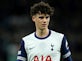 Spurs could repeat double transfer trick as Gray loan deal 'in the works'