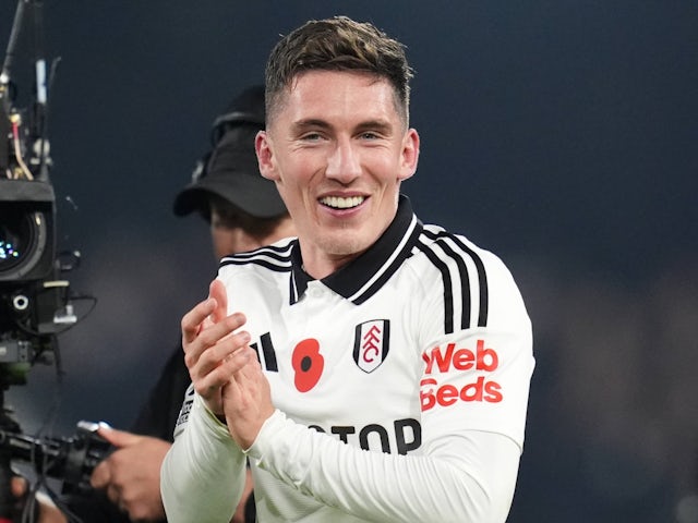 Fulham's Harry Wilson on November 4, 2024